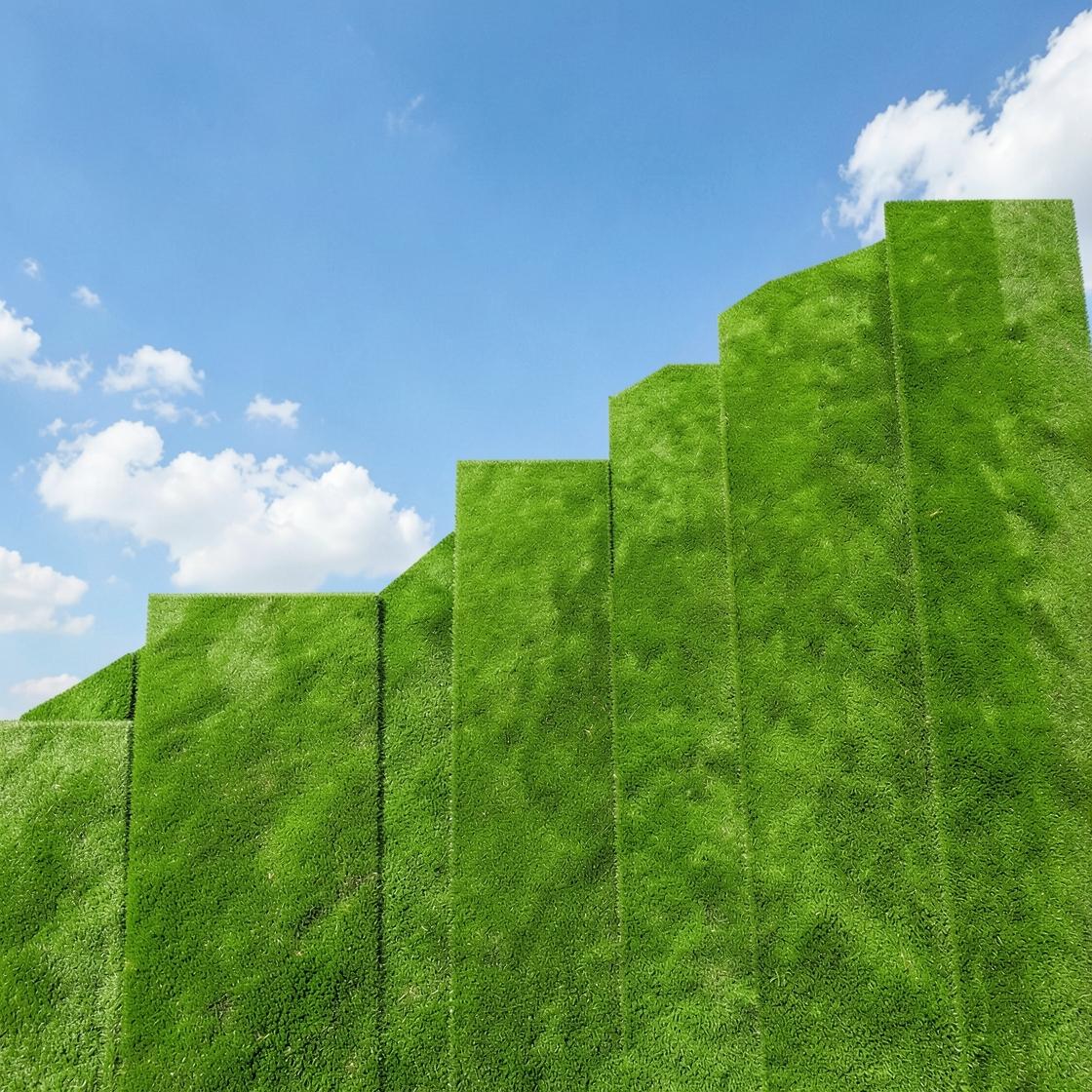 Why are we so obsessed with lawns?